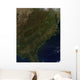 Fall Colors Southeastern United Wall Decal