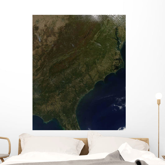 Fall Colors Southeastern United Wall Decal