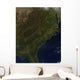 Fall Colors Southeastern United Wall Decal