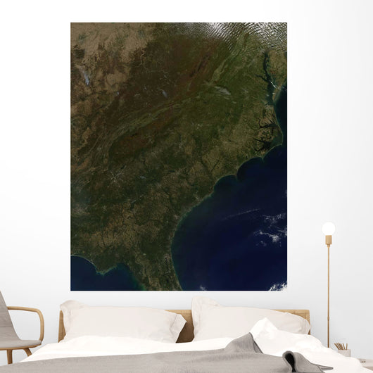 Fall Colors Southeastern United Wall Decal