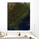 Fall Colors Southeastern United Wall Decal