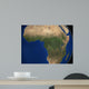 Earth Showing Landcover over Wall Decal