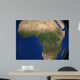 Earth Showing Landcover over Wall Decal