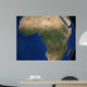 Earth Showing Landcover over Wall Decal