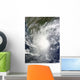 Cyclone Jal Wall Decal