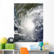 Cyclone Jal Wall Decal