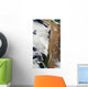 Satellite Andes Mountains South Wall Decal