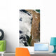 Satellite Andes Mountains South Wall Decal