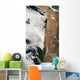 Satellite Andes Mountains South Wall Decal