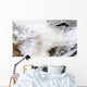 Satellite Massive Winter Storm Wall Decal Design 2