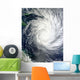 Tropical Cyclone Yasi Wall Decal