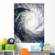 Tropical Cyclone Yasi Wall Decal