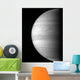 Close-up Planet Jupiter Wall Decal