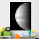 Close-up Planet Jupiter Wall Decal