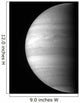 Close-up Planet Jupiter Wall Decal