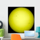 Full Sun Wall Decal