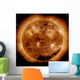 Magnetic Field Lines Sun Wall Decal Design 2