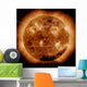 Magnetic Field Lines Sun Wall Decal Design 2