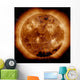 Magnetic Field Lines Sun Wall Decal Design 2