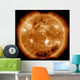 Massive X-class Solar Flare Wall Decal