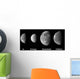 Jupiter's Galilean Moons Wall Decal