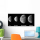 Jupiter's Galilean Moons Wall Decal