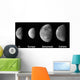 Jupiter's Galilean Moons Wall Decal