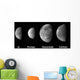 Jupiter's Galilean Moons Wall Decal