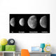 Jupiter's Galilean Moons Wall Decal
