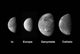 Jupiter's Galilean Moons Wall Decal