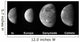 Jupiter's Galilean Moons Wall Decal