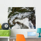Satellite Image Alps Mountain Wall Decal