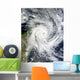 Tropical Cyclone Bingiza Wall Decal