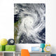 Tropical Cyclone Bingiza Wall Decal