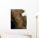 Satellite Landscape Central Mexico Wall Decal