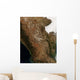 Satellite Landscape Central Mexico Wall Decal