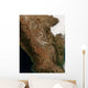 Satellite Landscape Central Mexico Wall Decal