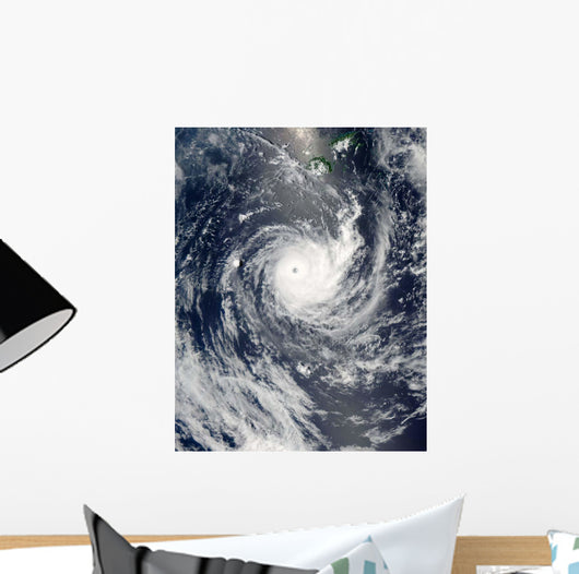 Tropical Cyclone Wilma Wall Decal