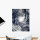 Tropical Cyclone Wilma Wall Decal