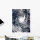 Tropical Cyclone Wilma Wall Decal