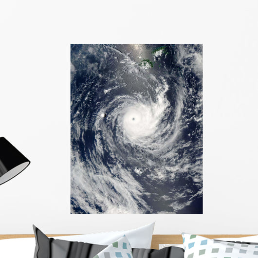 Tropical Cyclone Wilma Wall Decal