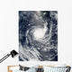 Tropical Cyclone Wilma Wall Decal