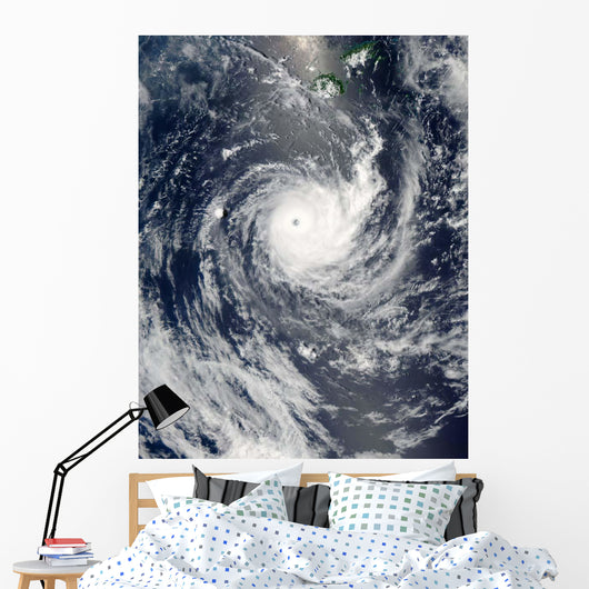 Tropical Cyclone Wilma Wall Decal
