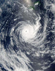 Tropical Cyclone Wilma Wall Decal