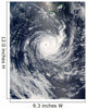 Tropical Cyclone Wilma Wall Decal