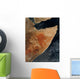 Satellite Horn Africa Wall Decal