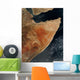 Satellite Horn Africa Wall Decal