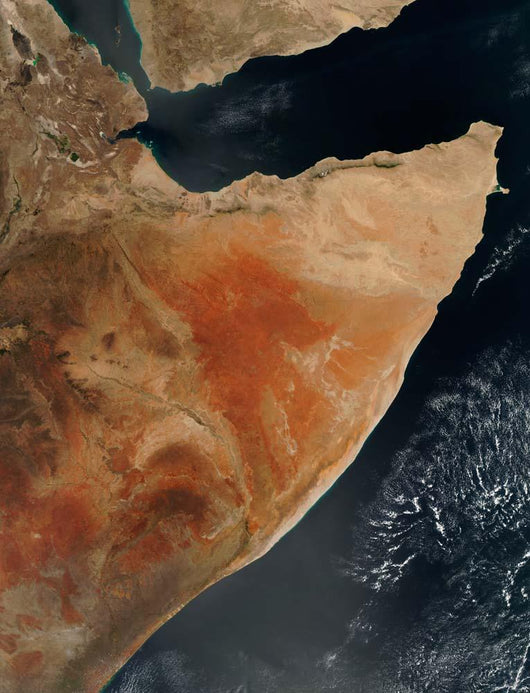 Satellite Horn Africa Wall Decal