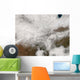 Satellite Severe Winter Storm Wall Decal