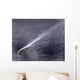 Plume Ash Steam and Wall Decal